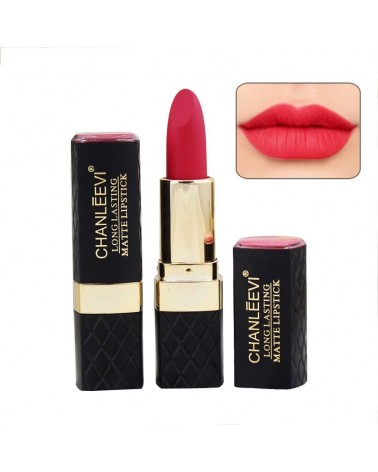 2016 Luxury  rouge à lèvre Lipstick QiBest  Crème Lip Gloss longue durée 